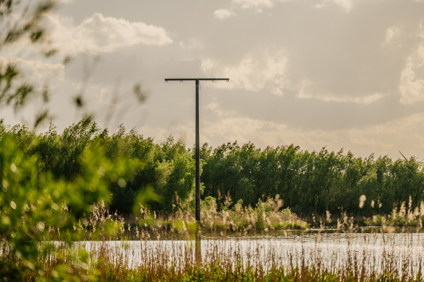 Alter Strommast steht im Wasser des wiedervernässten Holzendorfer Sees.