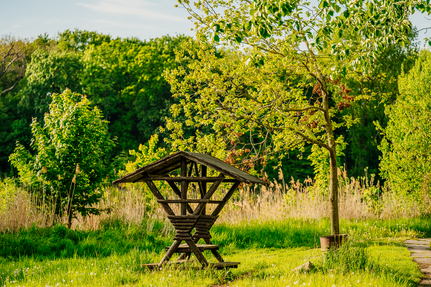 Alte überdachte Holzbank auf einer Wiese nahe dem Holzendorfer See.