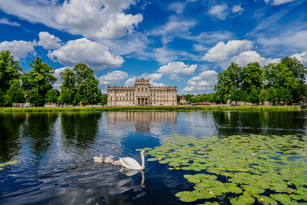 Schloss Ludwigslust in Mecklenburg-Vorpommern mit Schwan, Seerosen und Spiegelung im Wasser.