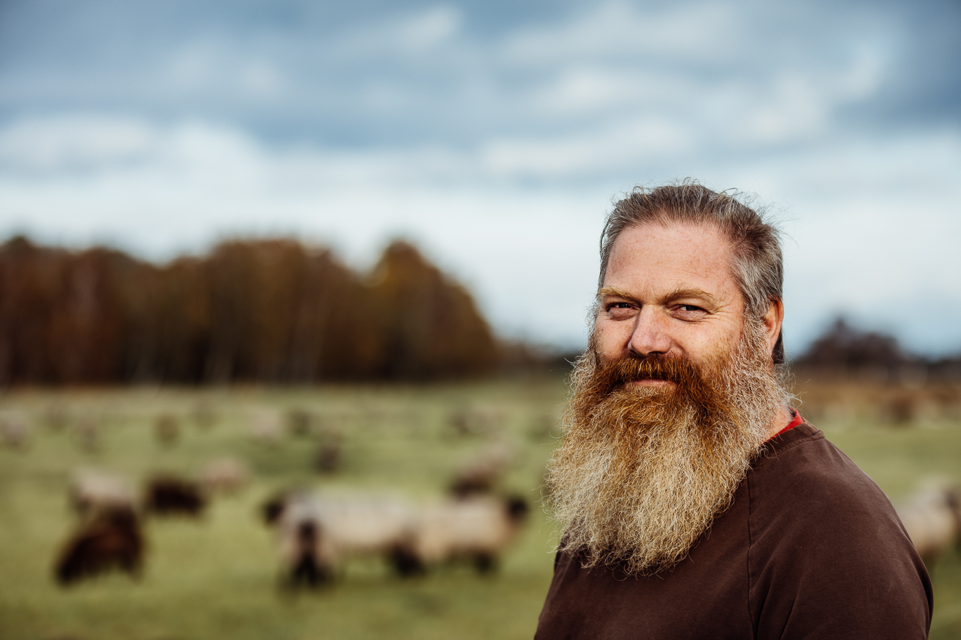 Schäfer Frank Westphal und seine Herde