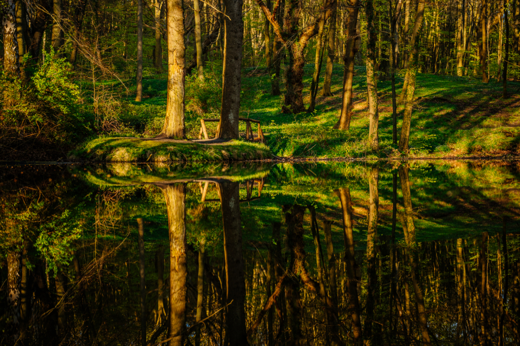 Waldpark Semper Insel Rügen