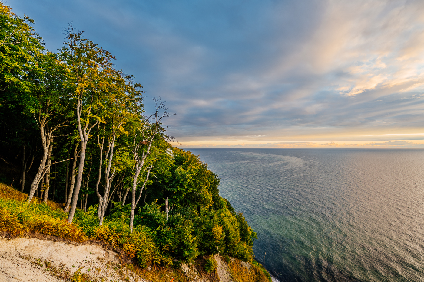 Herbstlicher Buchenwald oberhalb der Ostsee an der Kreideküste im Nationalpark Jasmund auf Rügen. Herbstlicher Buchenwald oberhalb der Ostsee an der Kreideküste im Nationalpark Jasmund auf Rügen.