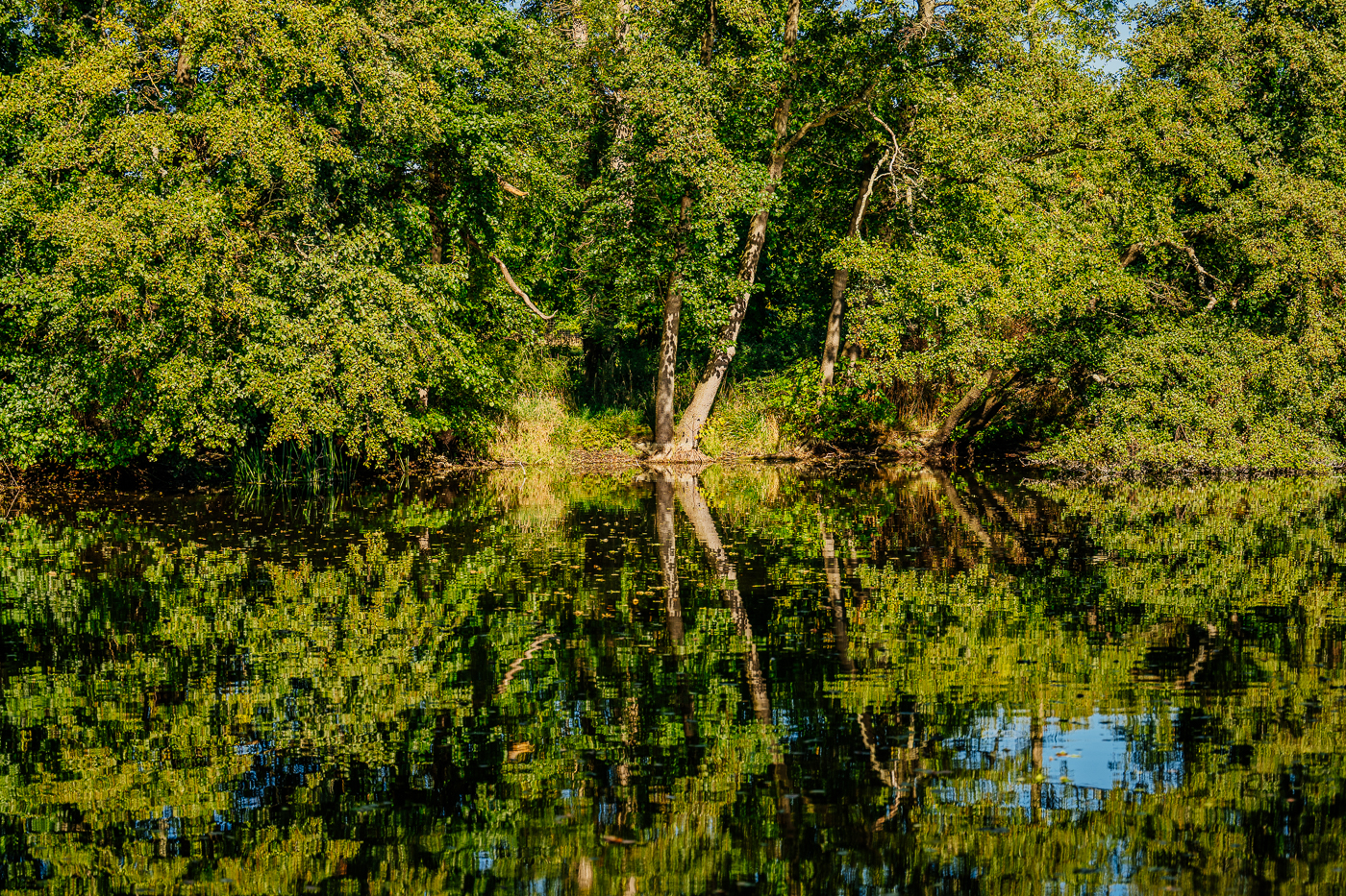 Teich in der Gutsanlage Boldewitz auf Rügen mit spiegelnden Bäumen im spätsommerlichen Licht. Teich in der Gutsanlage Boldewitz auf Rügen mit spiegelnden Bäumen im spätsommerlichen Licht.