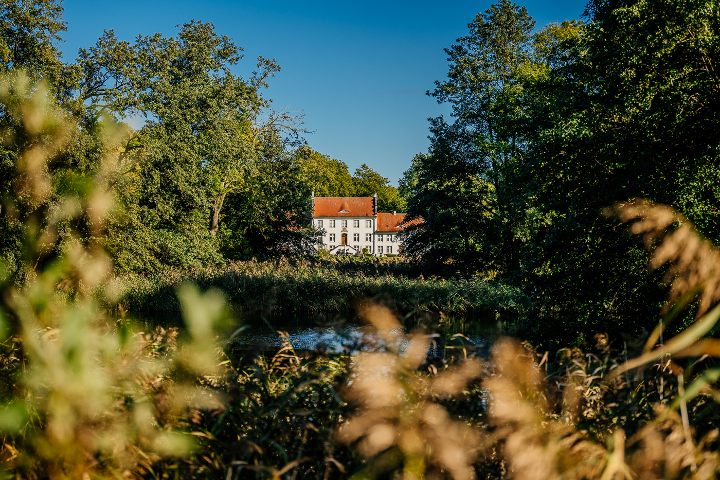 Gutshaus Boldevitz auf Rügen hinter Bäumen und Schilf am Wasser. Gutshaus Boldevitz auf Rügen hinter Bäumen und Schilf am Wasser.