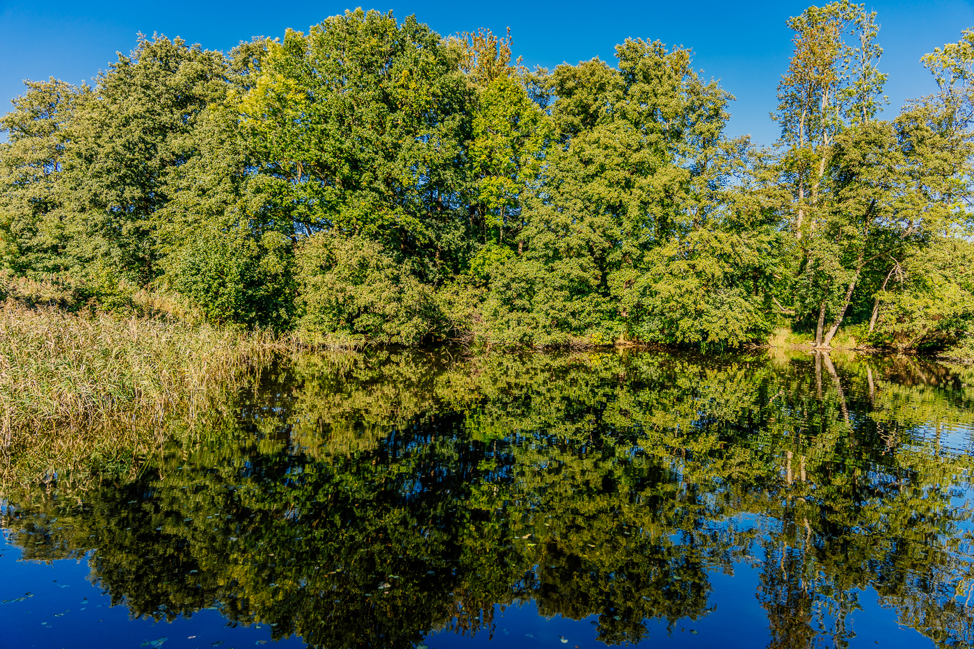 Teich in der Gutsanlage Boldewitz auf Rügen mit spiegelnden Bäumen und blauem Himme Teich in der Gutsanlage Boldewitz auf Rügen mit spiegelnden Bäumen und blauem Himme