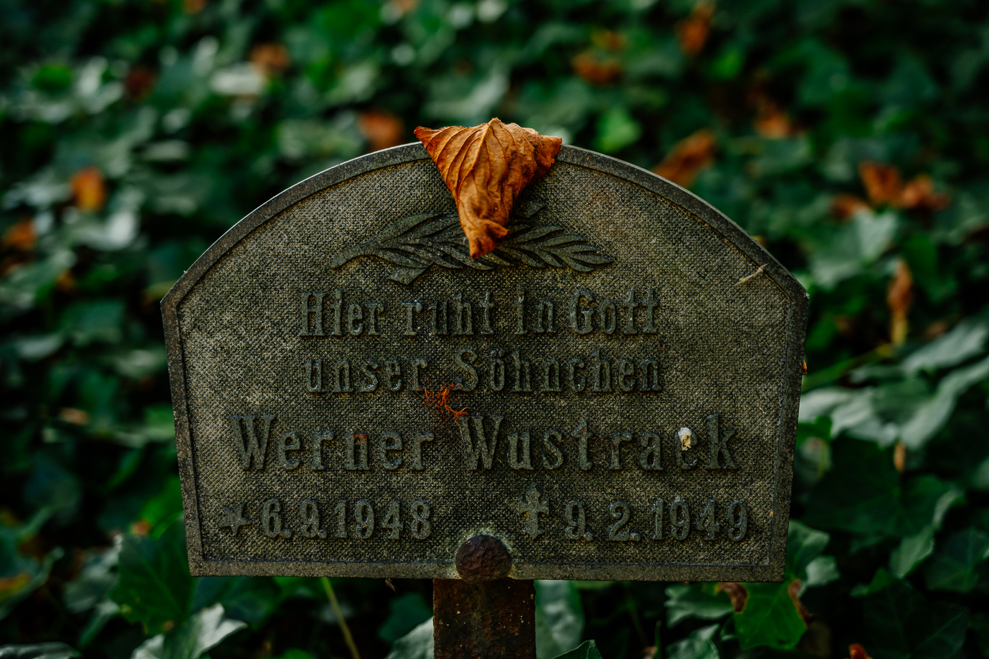 Alter Grabstein von Werner Wustrack auf dem Friedhof in Landow auf Rügen mit Herbstblatt. Alter Grabstein von Werner Wustrack auf dem Friedhof in Landow auf Rügen mit Herbstblatt.