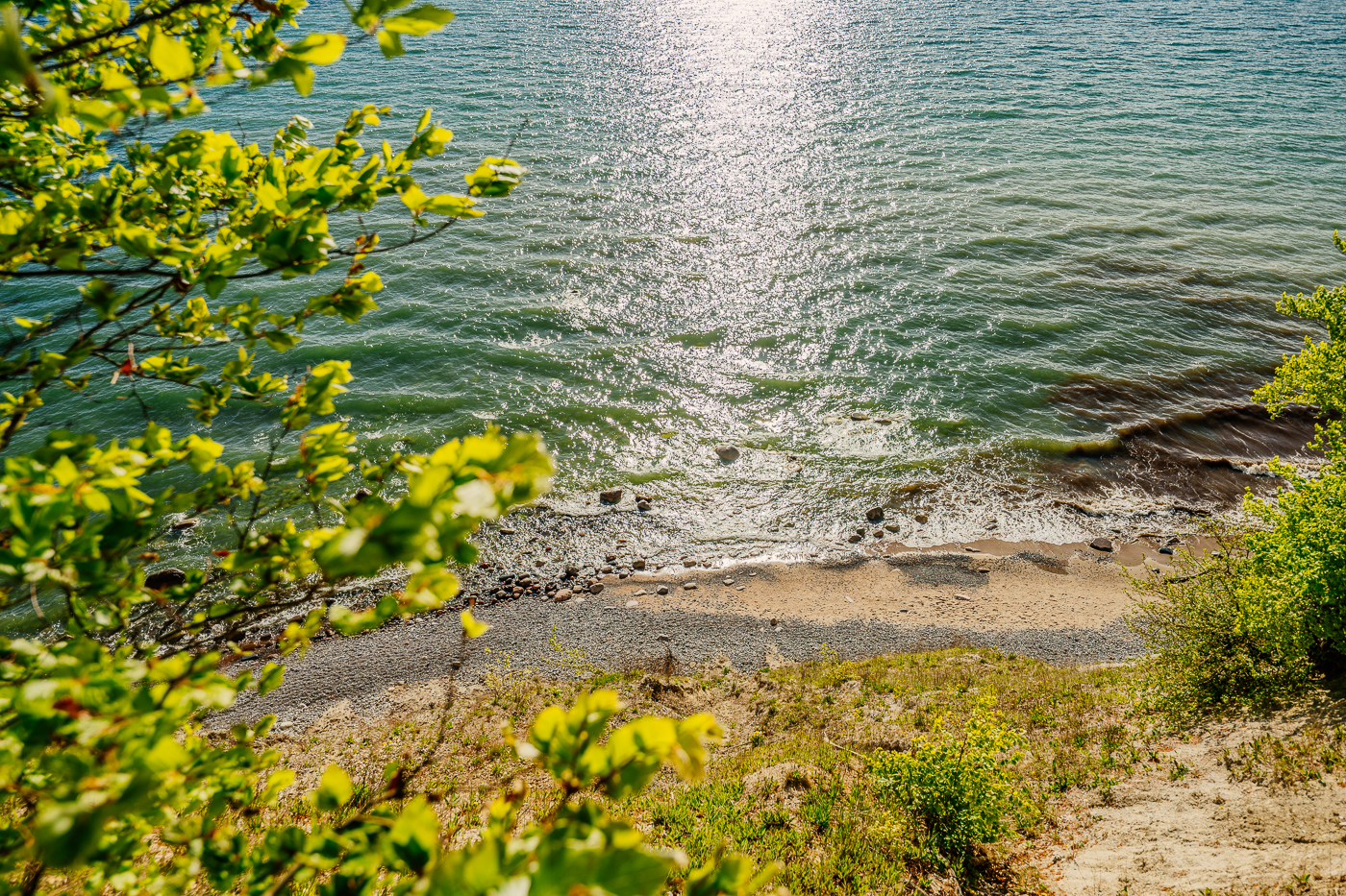 Blick vom Hochufer durch junges Buchenlaub auf den schmalen Strand und die sonnenglitzernde Ostsee an der Kreideküste Rügens.