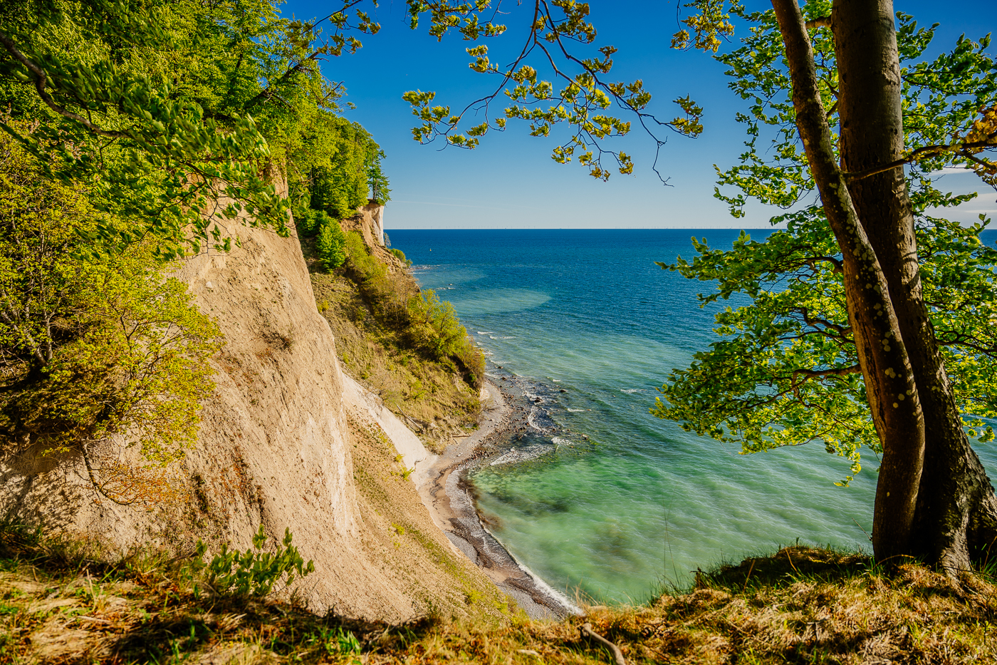 Kreideküste im Nationalpark Jasmund mit steilem Kliff, frischem Buchenlaub und türkisblauer Ostsee an einem klaren Maitag.