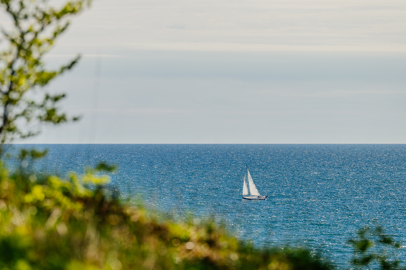 Segelboot vor der Küste Rügens, vom bewaldeten Hochufer des Nationalparks Jasmund durch unscharfes Frühlingsgrün gesehen.