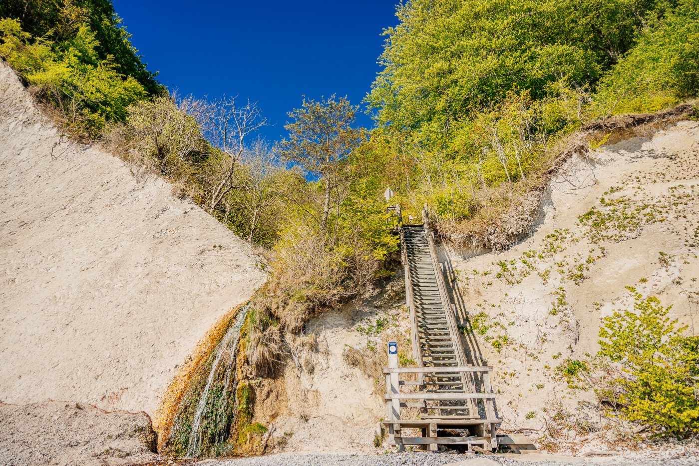 Holztreppe führt zwischen steilen Kreidehängen vom Buchenwald hinunter zum Strand an der Küste des Nationalparks Jasmund.