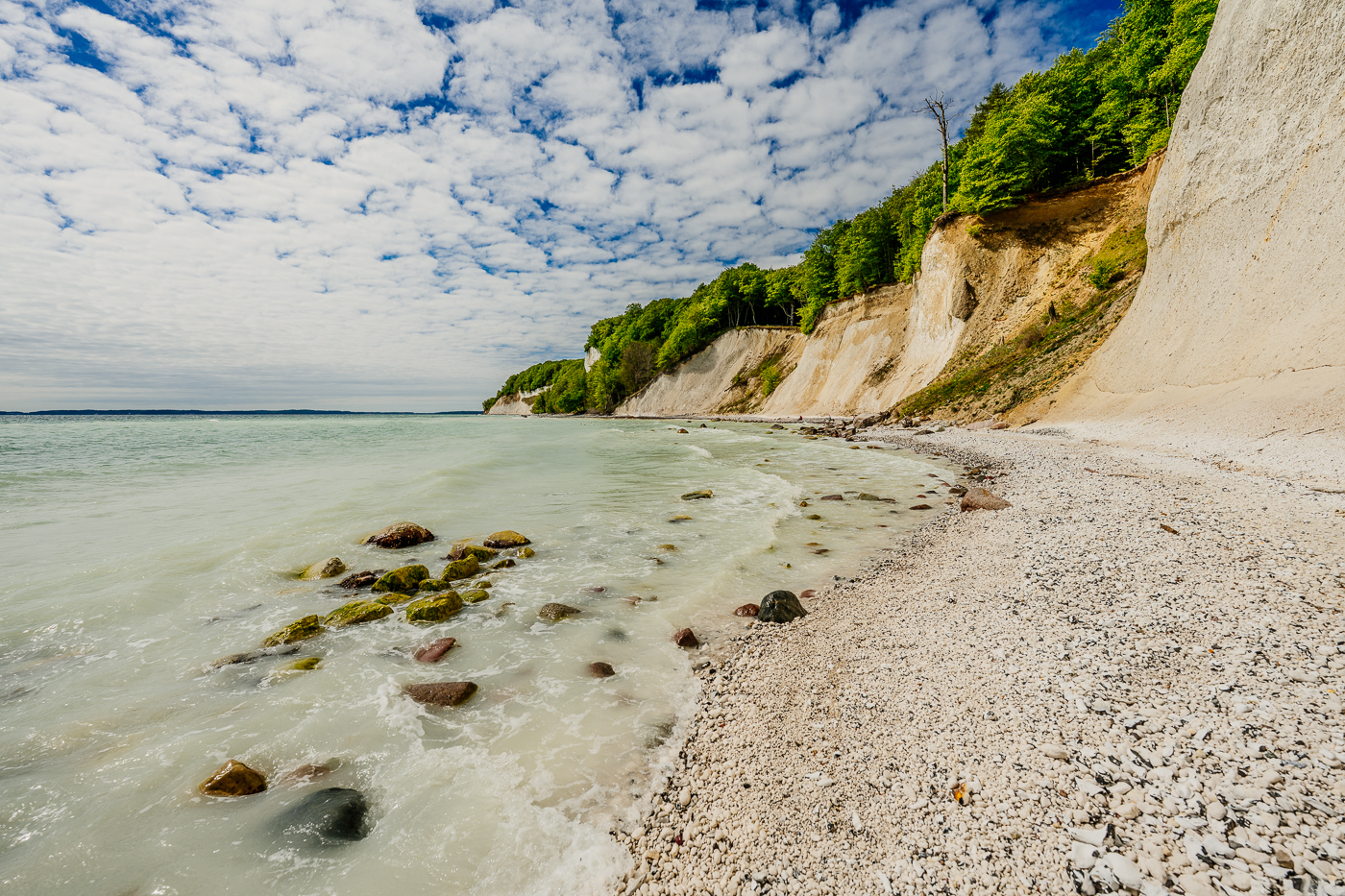 Steiniger Ostseestrand unter den bewaldeten Kreidefelsen des Nationalparks Jasmund mit Findlingen im flachen Küstenwasser.
