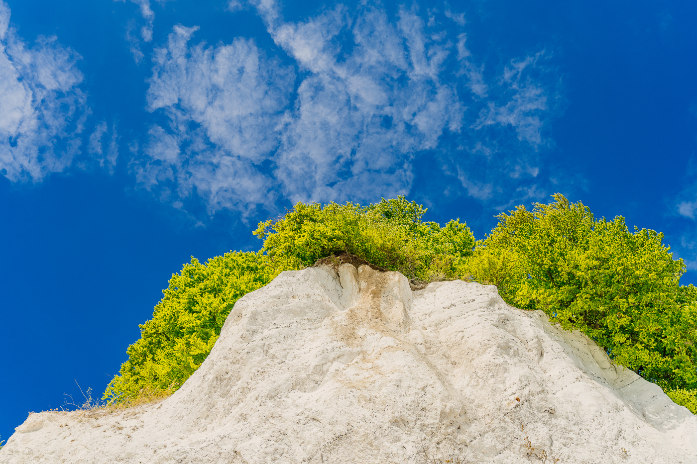 Heller Kreidefelsen ragt unter dem jungen Grün des Buchenwaldes in den blauen Maihimmel des Nationalparks Jasmund.