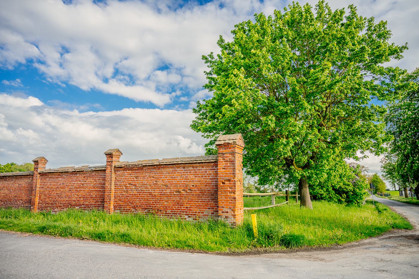Alte Backsteinmauer und großer Laubbaum am ehemaligen Gutsgelände in Holzendorf.