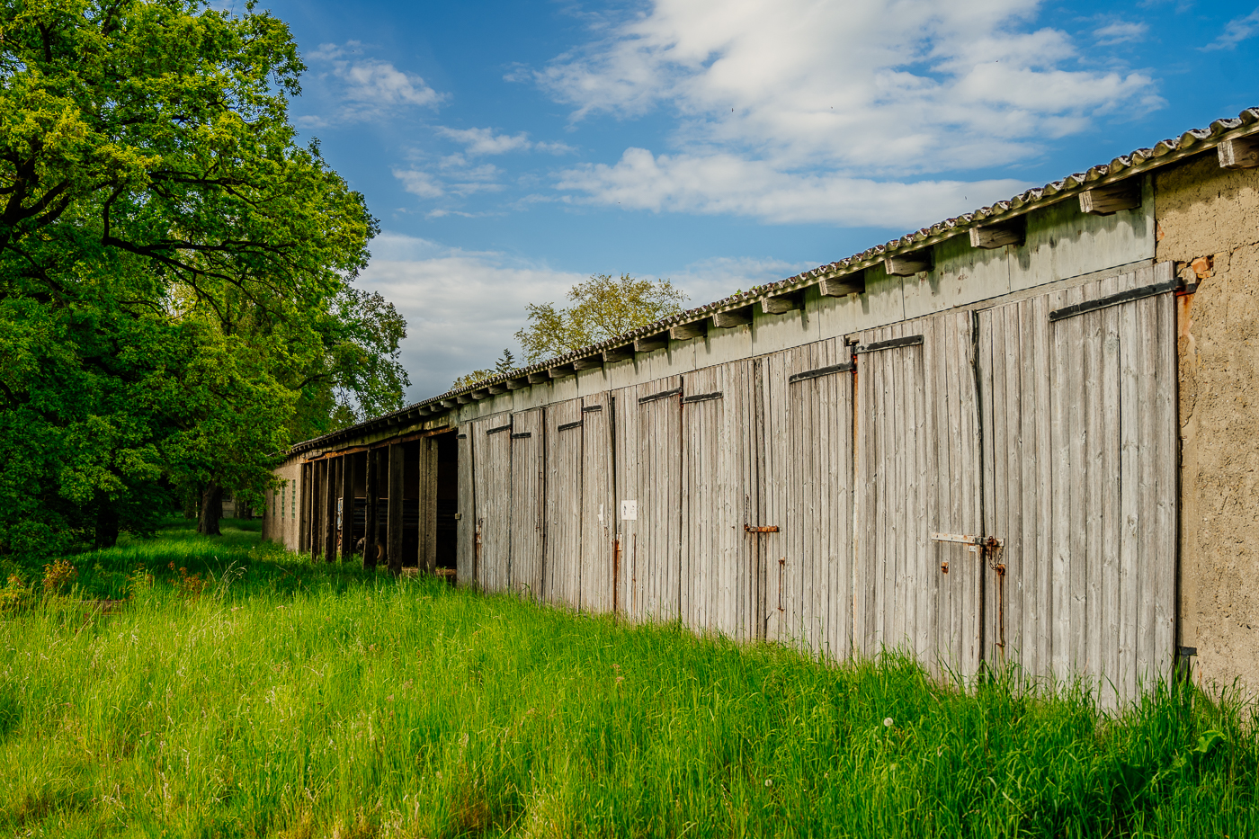 Langes altes Stallgebäude mit verwitterten Holztoren auf einer Wiese in Holzendorf.