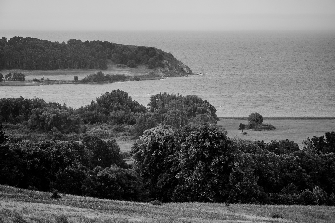 Blick von den Zickerschen Bergen über bewaldete Hänge, Wiesen und die gegliederte Küstenlandschaft des Mönchguts auf Rügen.